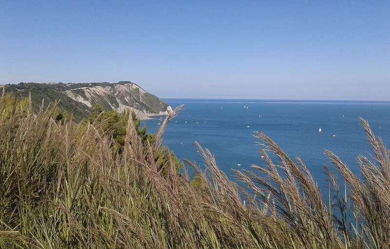 La côte des Marches : les plus belles plages de la mer Adriatique - monte conero