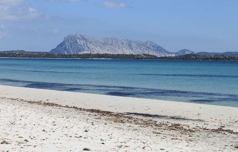 Eau cristalline et sable blanc : les plus belles localités en Sardaigne - tavolara