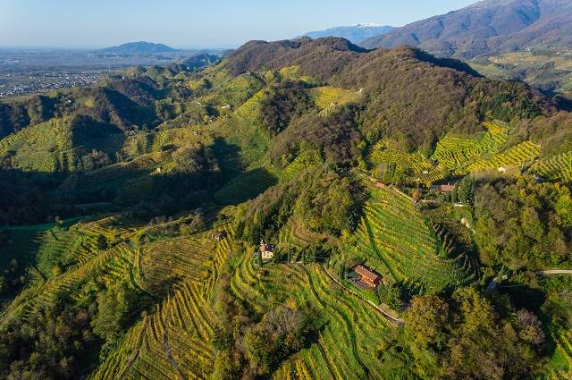 Développement durable, économique et social dans le secteur du vin - Paesaggio 5 resized