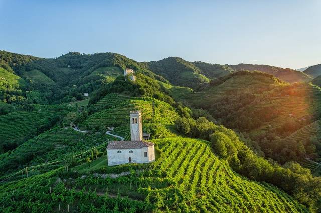 Développement durable, économique et social dans le secteur du vin - Paesaggio 8 resized