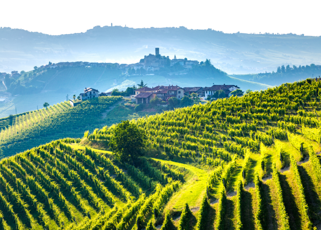 Des vins italiens à déguster en hiver - Vins dhiver 3 e1612392993630