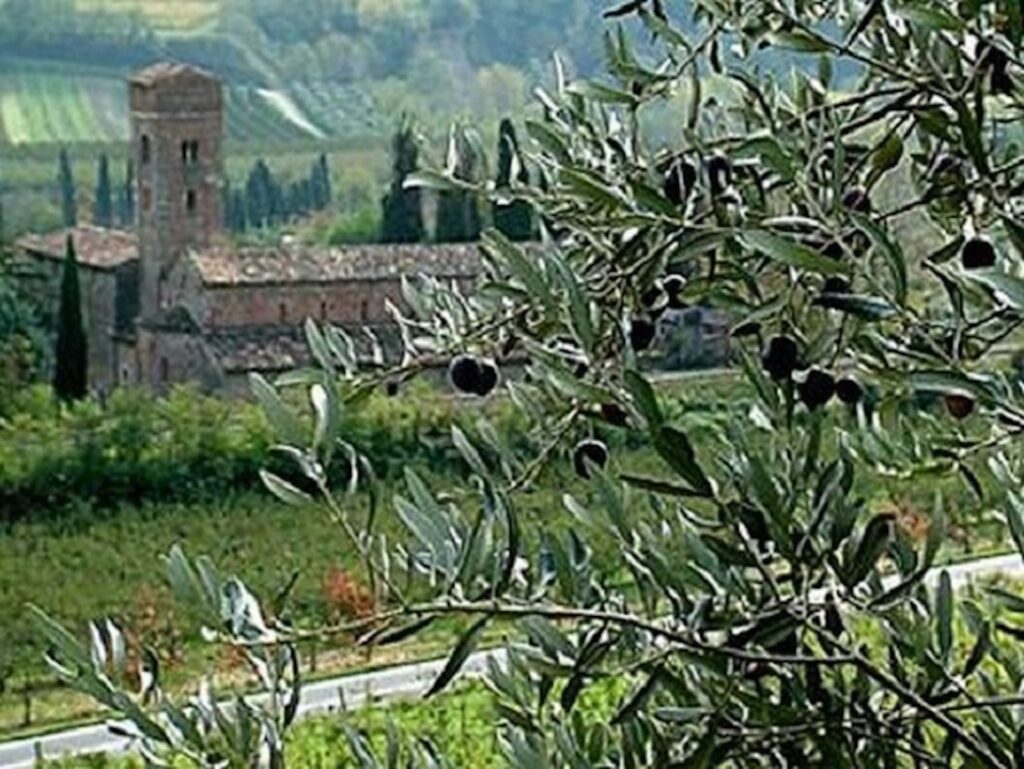 winery-vignoble-terra-di-brisighella