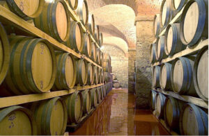 bolgheri wine tuscany italy