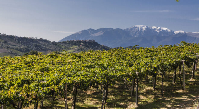 Abruzzo ambiente varietal