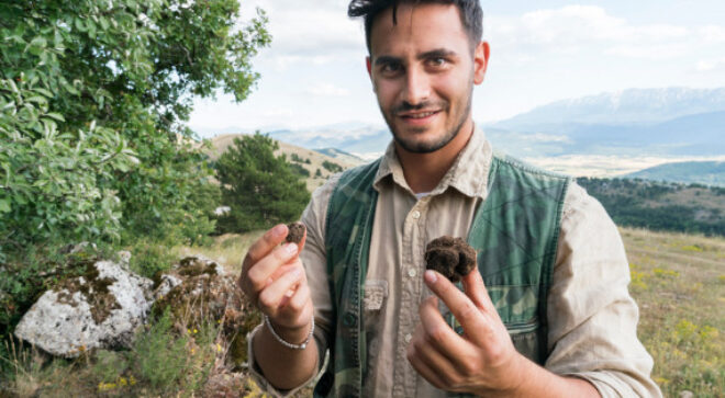 hunt truffle italy