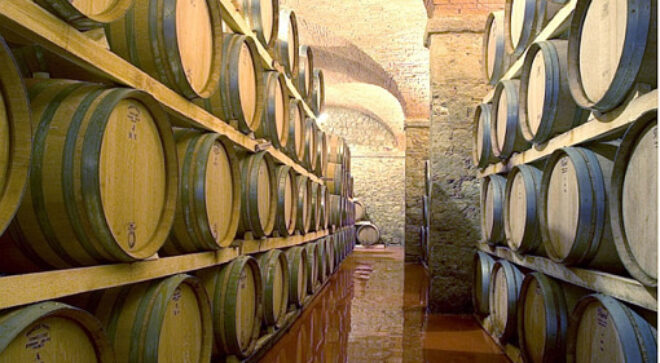 bolgheri wine tuscany italy