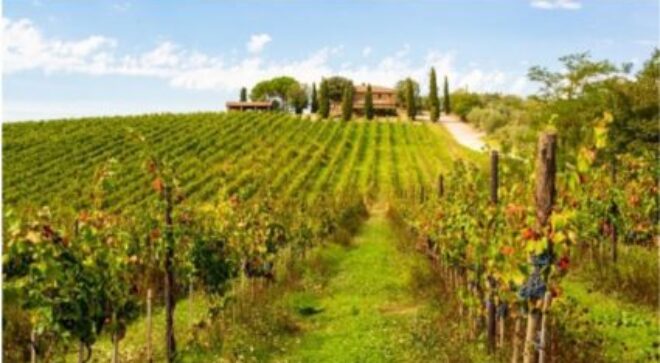 itineraire-itinerary-Great-Estates-Fine-Wines-Tuscany-5