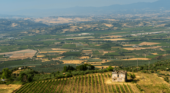 itineraire-itinerary-Wine-Tour-South-Italy-cosenza-calabria-2