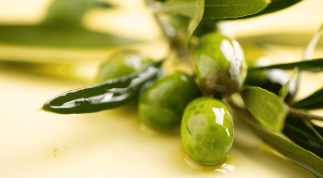 specialty-specialie-olive-oil-huile-olive-generique (34)