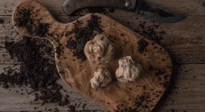 specialty-specialite-alba-white-truffle-2