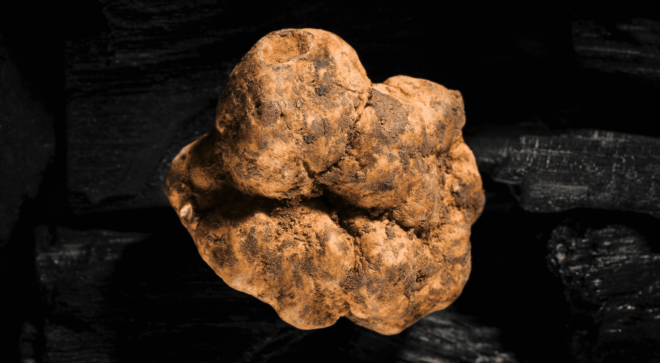 specialty-specialite-pisa-white-truffle (2)