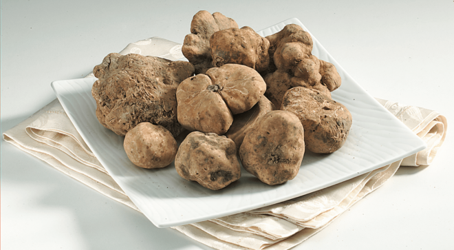 specialty-specialite-pisa-white-truffle (3)