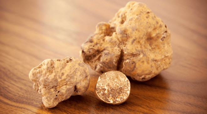 specialty-specialite-pisa-white-truffle (4)