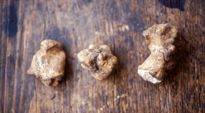 specialty-specialite-pisa-white-truffle (7)