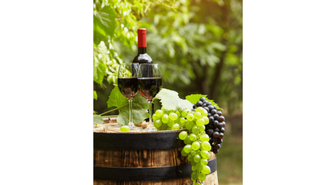 wine-vin-Carmignano-DOCG (2)
