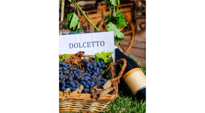wine-vin-Dolcetto-Dogliani-Superiore-DOCG (3)