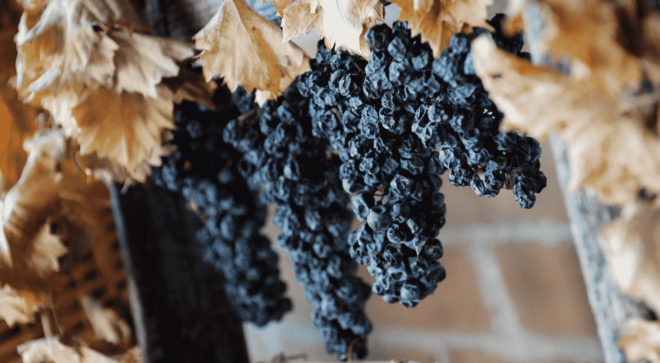 wine-vin-Montefalco-Sagrantino-DOCG (3)