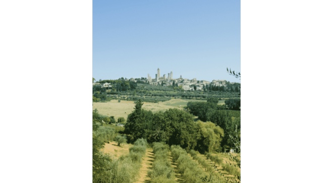 wine-vin-Vernaccia-San-Gimignano-DOCG (5)