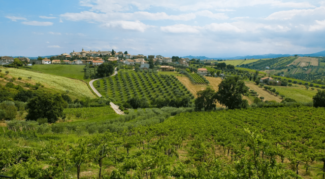 wine-vin-montepulciano-abruzzo-colline-teramane-docg (2)