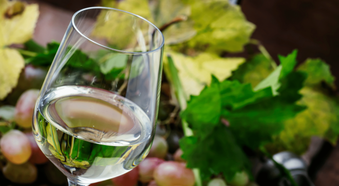wine-vin-photo-generique-sauvignon-blanc (2)