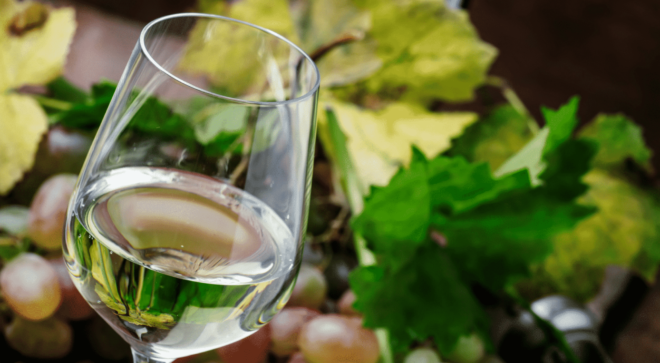 wine-vin-photo-generique-sauvignon-blanc (2)