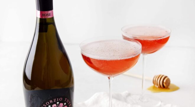 wine-vin-prosecco-doc-rose-cocktail-2