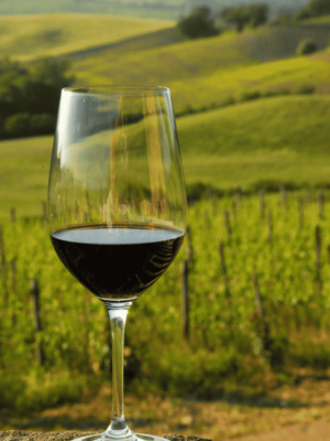 wine-vin-rosso-di-montalcino-doc (1)