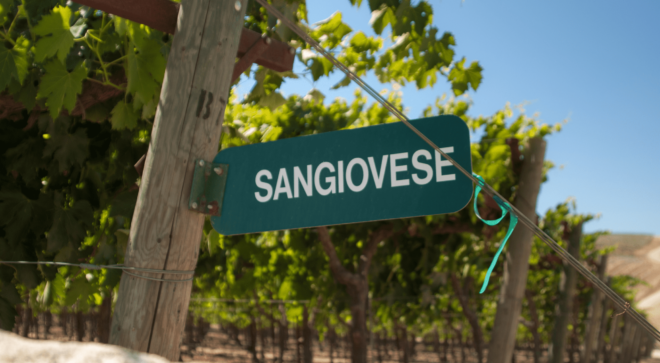 wine-vin-sangiovese-di-romagna-doc (1)