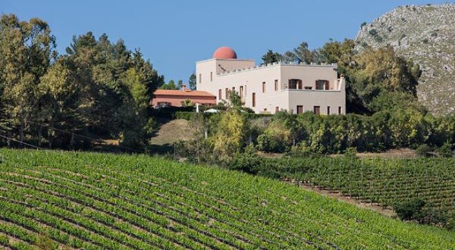 winery-vignoble-Baglio-di-Pianetto-1