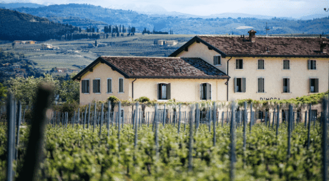 winery-vignoble-Dimora-Buglioni (5)
