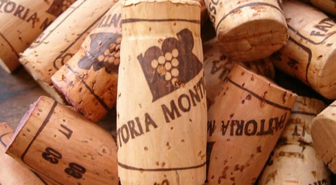winery-vignoble-Fattoria-Monticino-Rosso-2