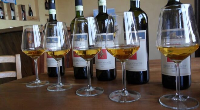 winery-vignoble-Fattoria-Monticino-Rosso-4