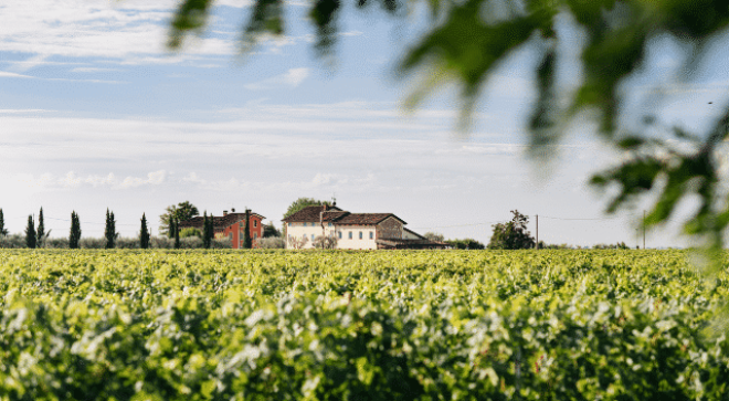 winery-vignoble-Locanda-Buglioni (5)