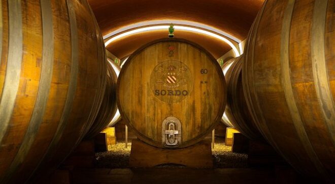 winery-vignoble-Sordo-Giovanni-2