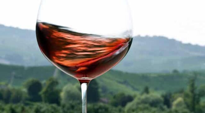winery-vignoble-Sordo-Giovanni-6