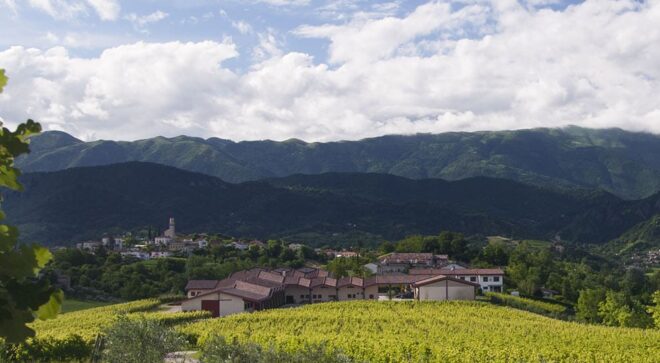 winery-vignoble-antica-quercia-2