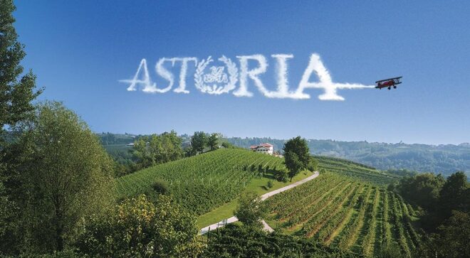 winery-vignoble-astoria-tenuta_aereo