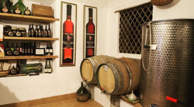 winery-vignoble-baccellieri-7
