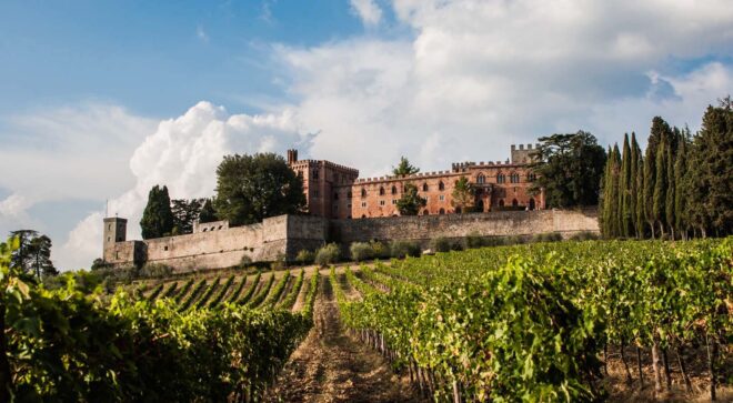 winery-vignoble-barone-ricasoli (11)