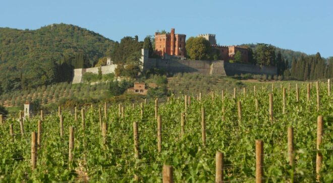 winery-vignoble-barone-ricasoli (9)