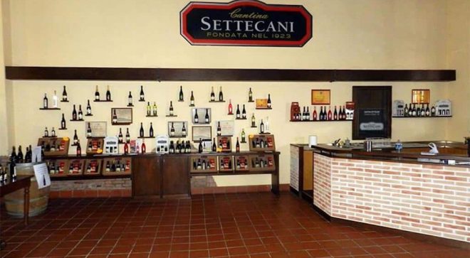 winery-vignoble-cantina-settecani-di-castelvetro-6