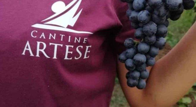 winery-vignoble-cantine-artese-17