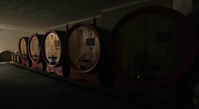 winery-vignoble-cantine-bonelli-16