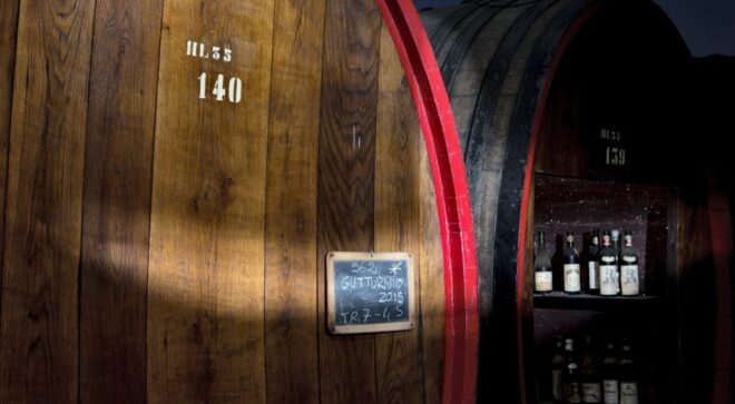 winery-vignoble-cantine-bonelli-19