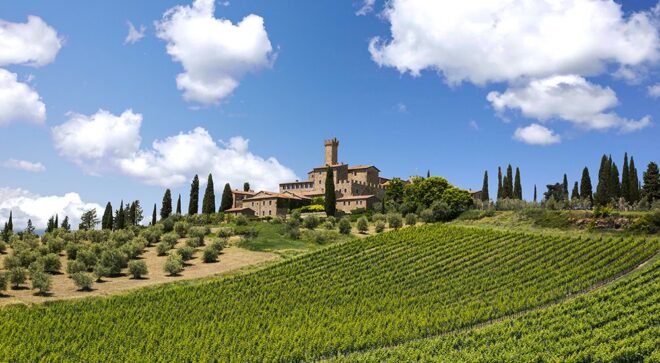winery-vignoble-castello-banfi (3)