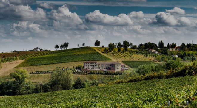 winery-vignoble-faletta
