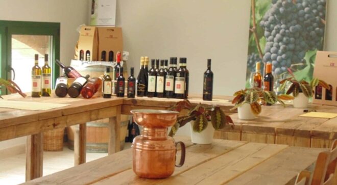 winery-vignoble-fattoria-monticino-rosso