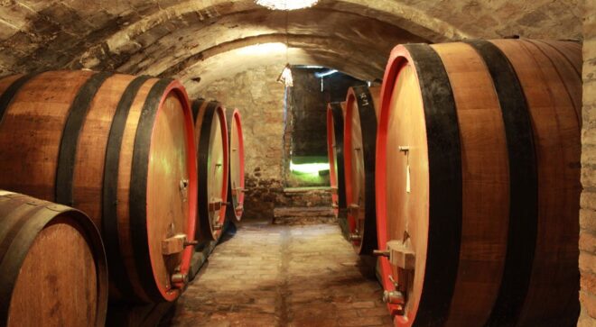 winery-vignoble-fattoria-nicolucci-5