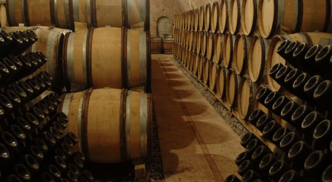 winery-vignoble-gini-image-21