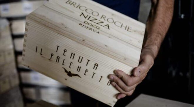 winery-vignoble-ilfalchetto-2